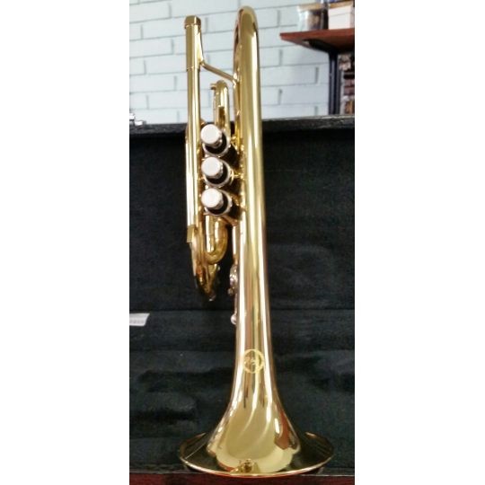 CORNETTA ROLING'S LACCATA SI b 
